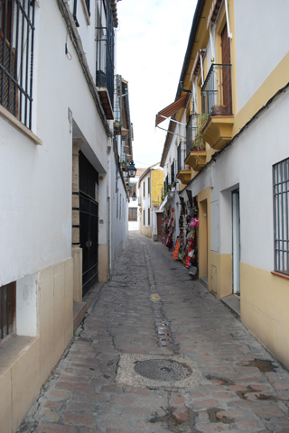 CALLE  DE CASCO ANTIGUO