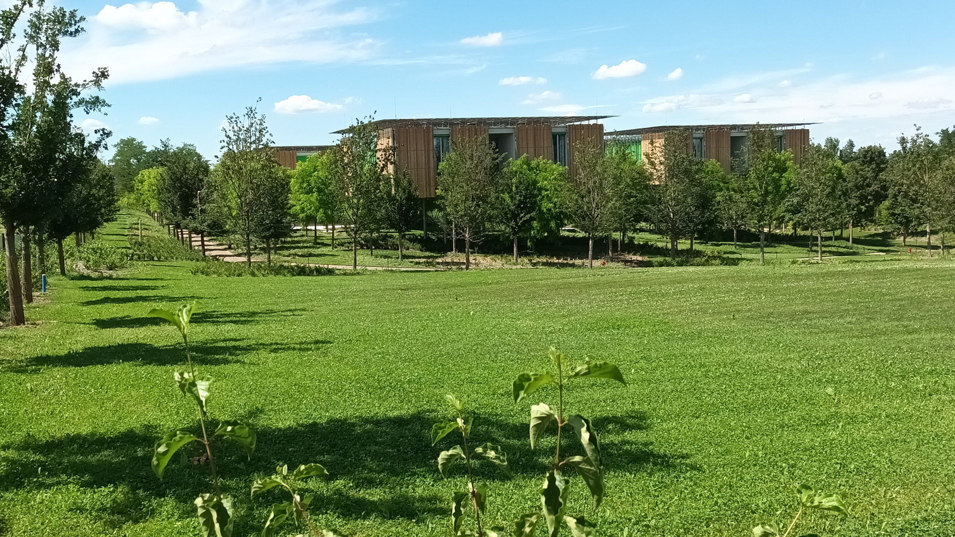 FONDAZIONE HOSPICE MARIA TERESA CHIANTORE SERAGNOLI ONLUS 